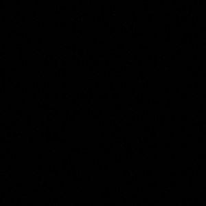 Meet your Posher, Jesus